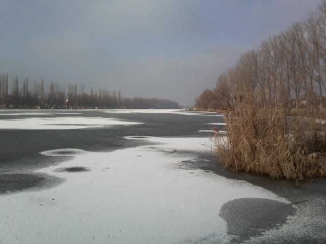 A dányi horgásztó 2010. január.